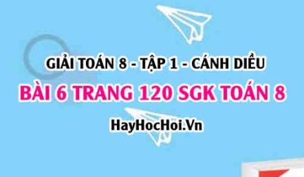 Giải bài 6 trang 120 Toán 8 Tập 1 SGK Cánh Diều